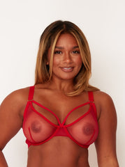 Carina Plunge Bra : Sheer Strawberry